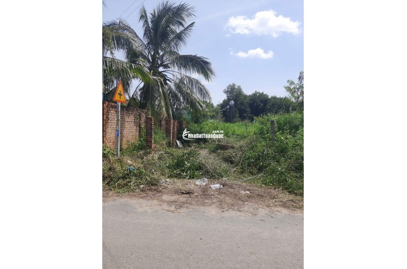 Bán đất mặt tiền huyện Đức Linh  Nguyễn Tri Phương có 100m2 ODT